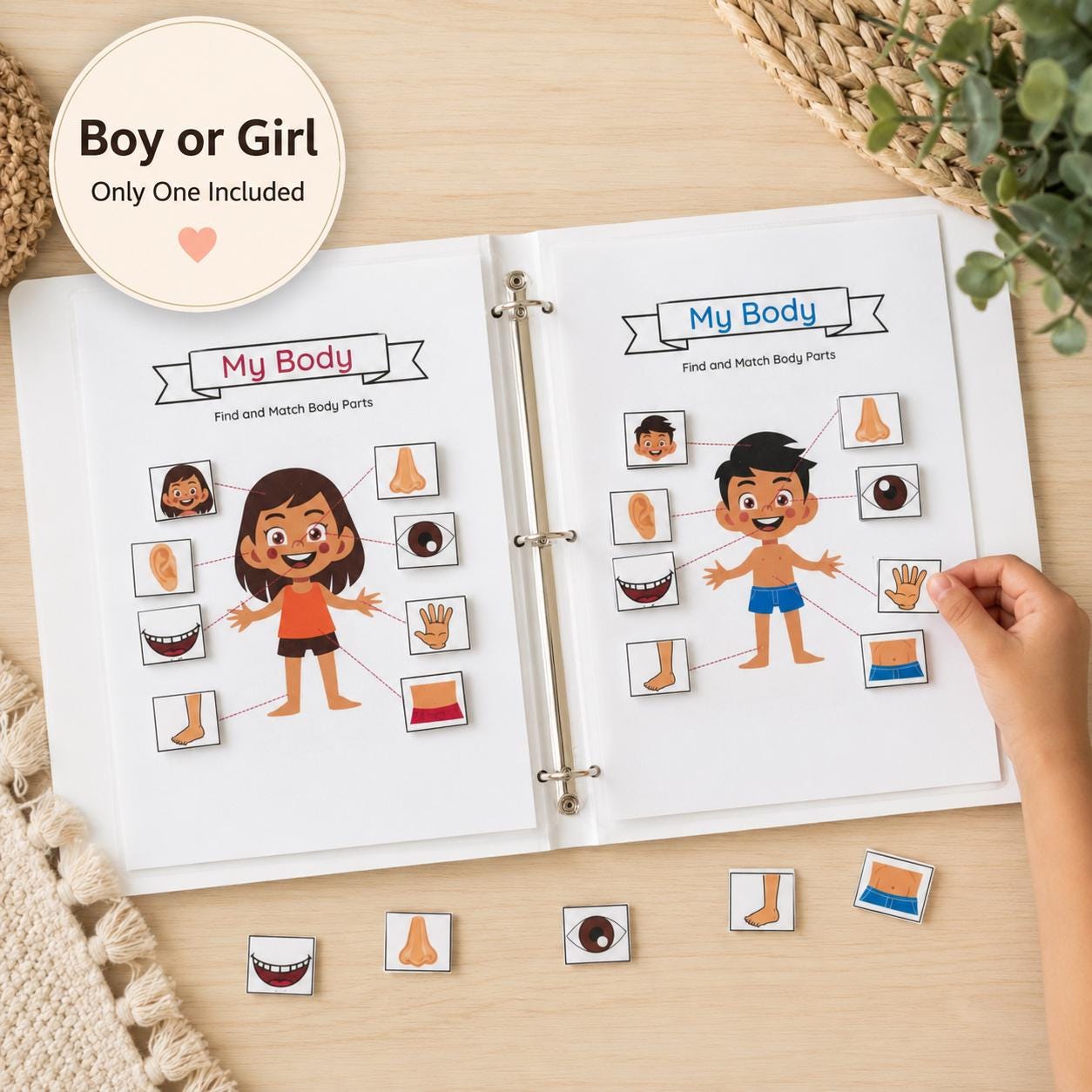 Kinder Busy Book — Montessori Preschool Learning Binder (Ages 2–4) - Image 7